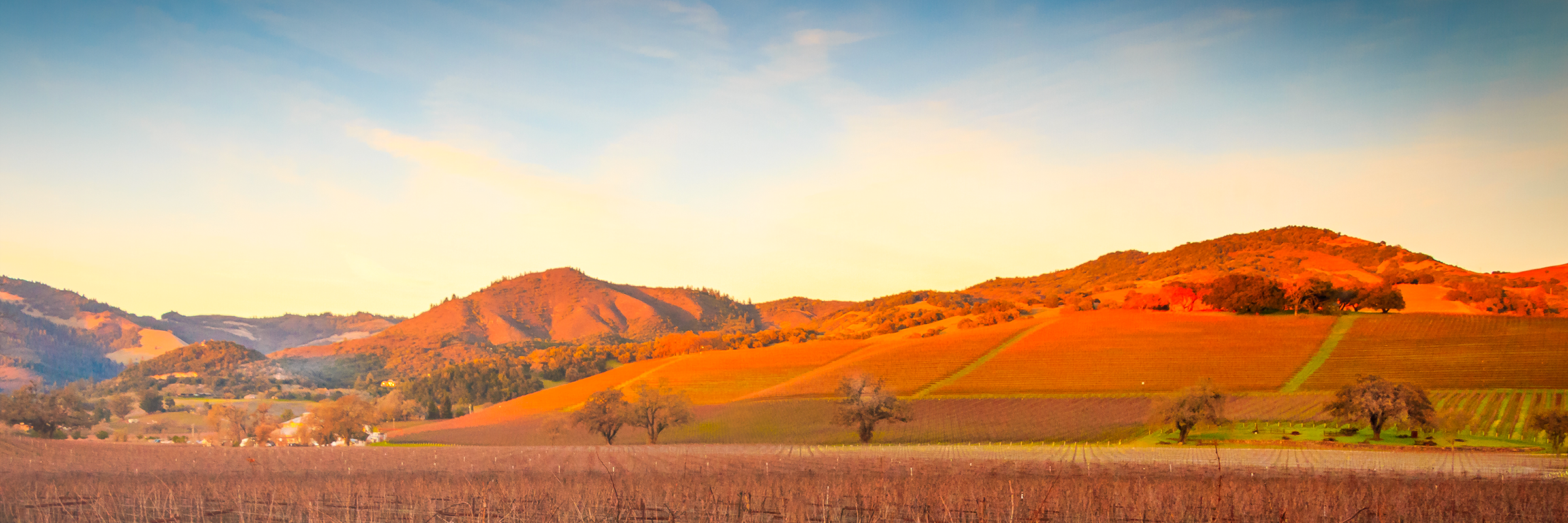 Photo of vineyards and hills in Sonoma at sunset